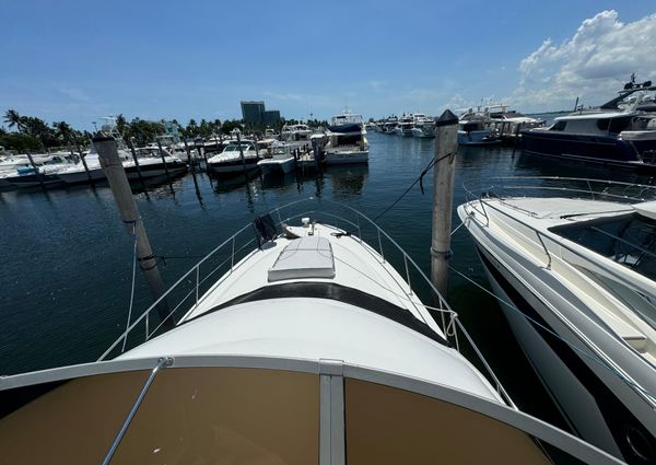 Sea Ray 44 Sedan Bridge image