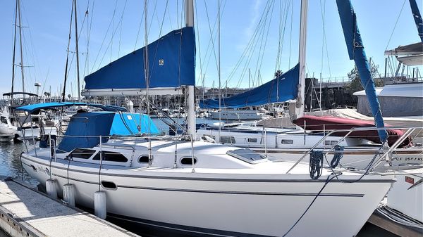 Catalina 310