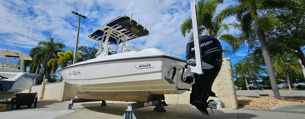 Boston-whaler 240-DAUNTLESS image