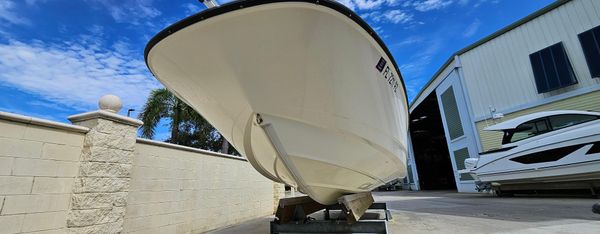 Boston-whaler 240-DAUNTLESS image