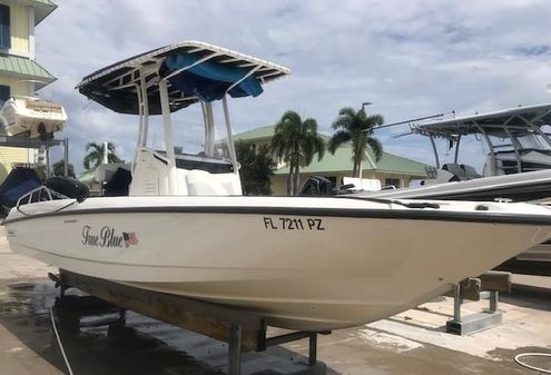 Boston-whaler 240-DAUNTLESS image