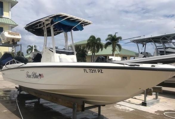 Boston-whaler 240-DAUNTLESS - main image