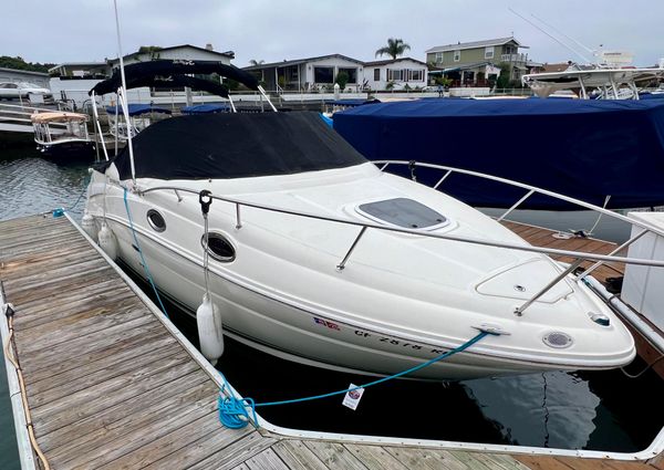 Sea-ray 240-SUNDANCER image