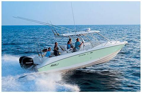 Boston Whaler 320 Outrage Cuddy Cabin 