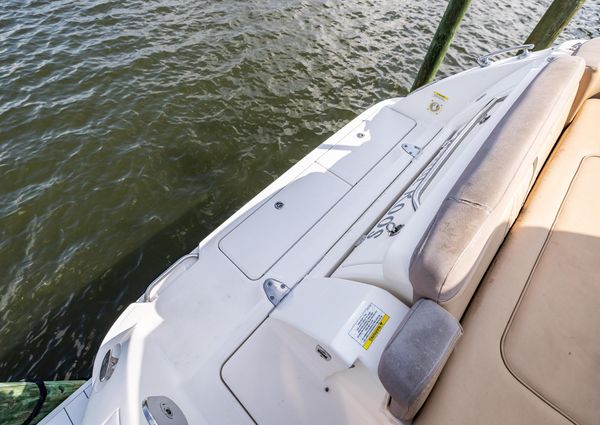 Sea Ray 310 Sundancer image