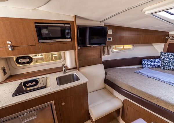 Sea Ray 310 Sundancer image