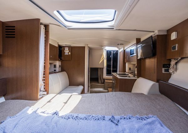 Sea Ray 310 Sundancer image