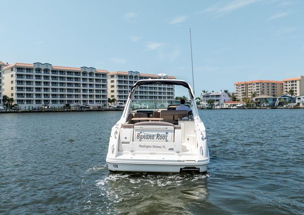 Sea Ray 310 Sundancer image