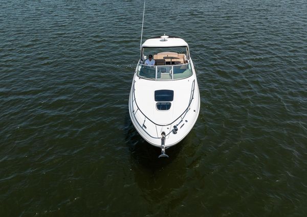 Sea Ray 310 Sundancer image