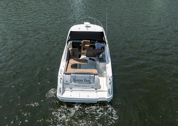 Sea Ray 310 Sundancer image