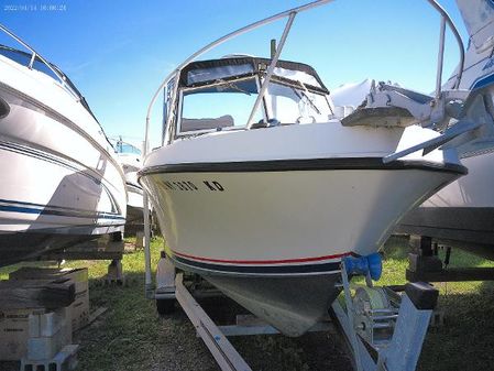 Mako 258-CUDDY image