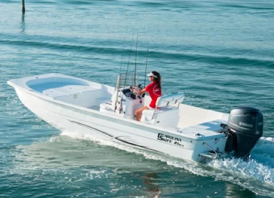 Carolina Skiff 2590 DLX EW - main image