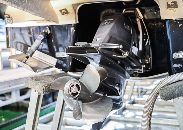 Regal 28 Express image