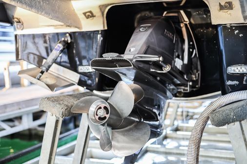 Regal 28 Express image