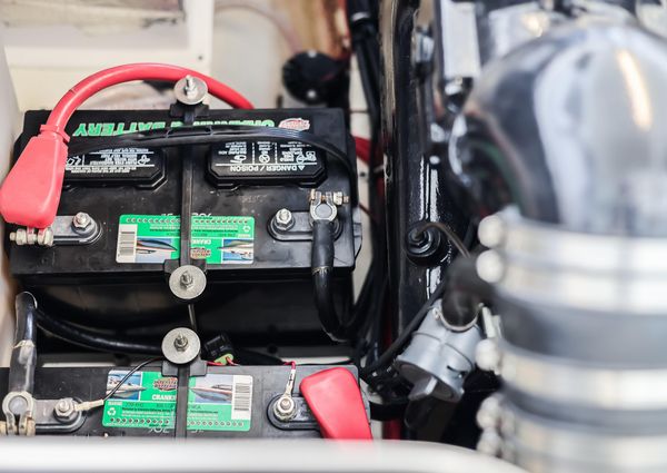 Regal 28 Express image