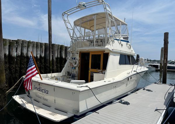 Hatteras 36 Convertible image