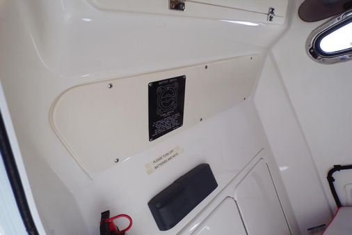 Boston Whaler 250 Outrage image