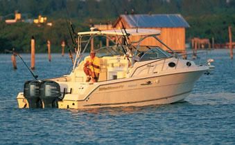 Wellcraft 290 Coastal