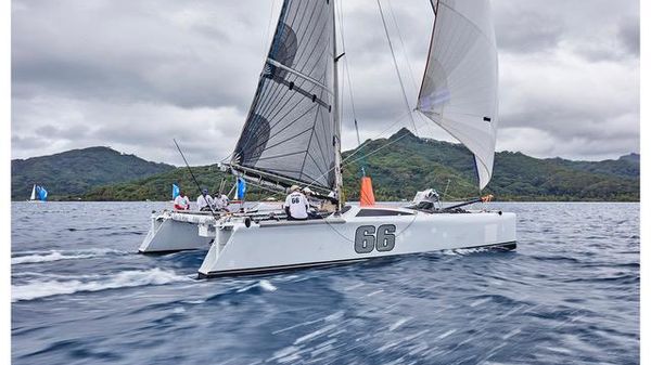 Grainger panther 38
