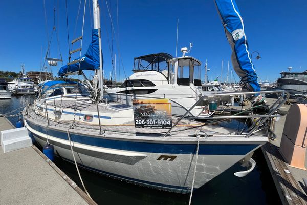 Malo 36 Swimstep - main image