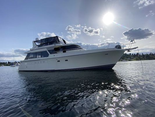 Tollycraft 53 - main image