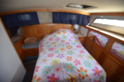 Silverton 40 Aft Cabin image