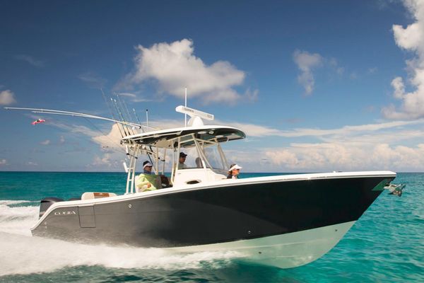 Cobia 301 Center Console - main image