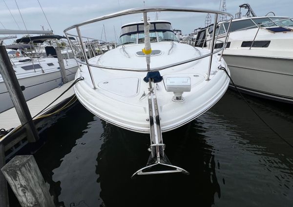 Sea Ray 44 Sundancer image