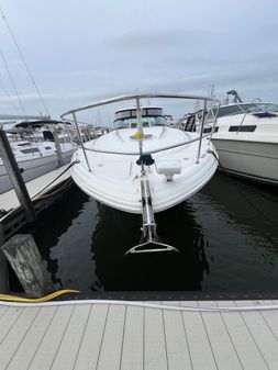 Sea Ray 44 Sundancer image