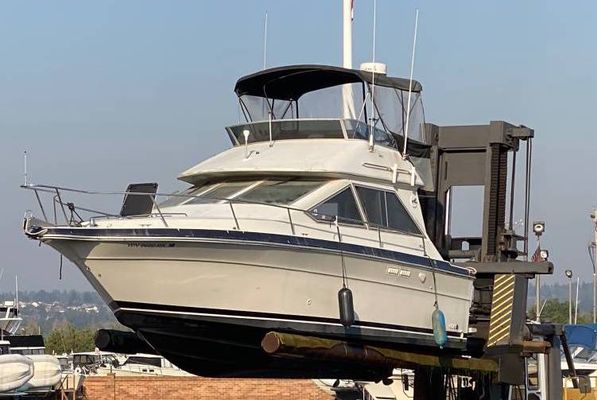 Sea Ray 305 Sedan Bridge - main image