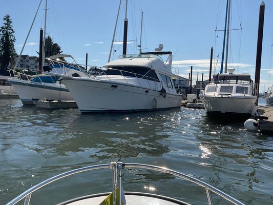 Bayliner 3988 Command Bridge Motoryacht - main image