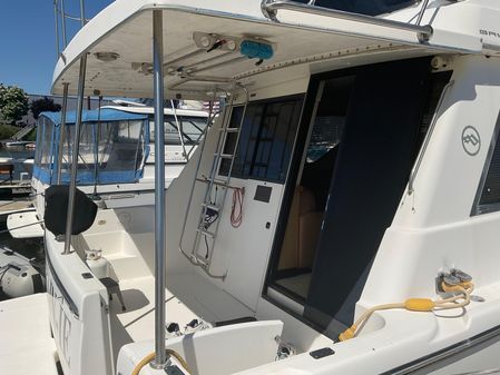 Bayliner 3988 Command Bridge Motoryacht image