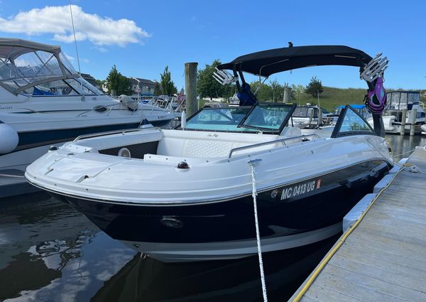 Sea Ray SDX 250 image