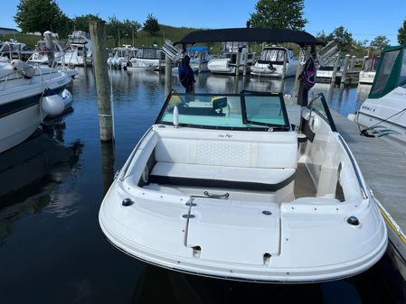 Sea Ray SDX 250 image