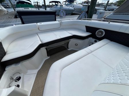 Sea Ray SDX 250 image