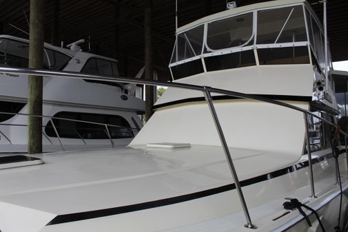 Viking 44-MOTOR-YACHT image