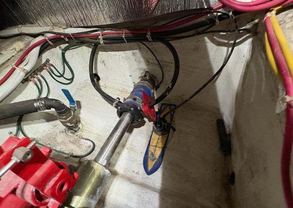 Carver 396 Motor Yacht image