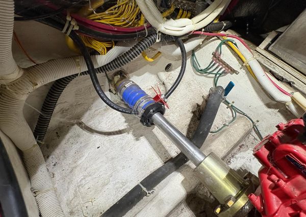 Carver 396 Motor Yacht image