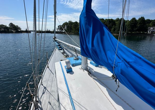 Custom GERALD-STEVENS-DESIGNED-44-SCHOONER image