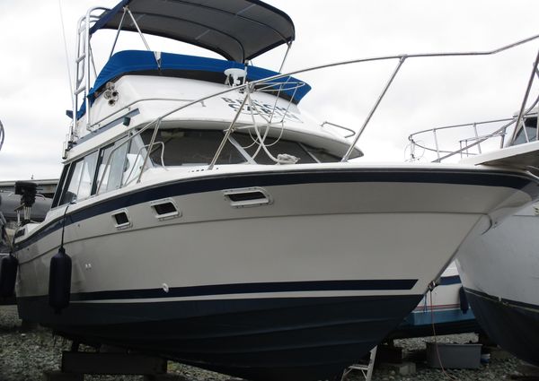 Bayliner 2850-CONTESSA image