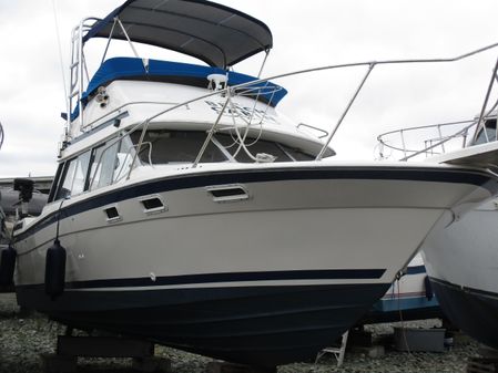 Bayliner 2850-CONTESSA image