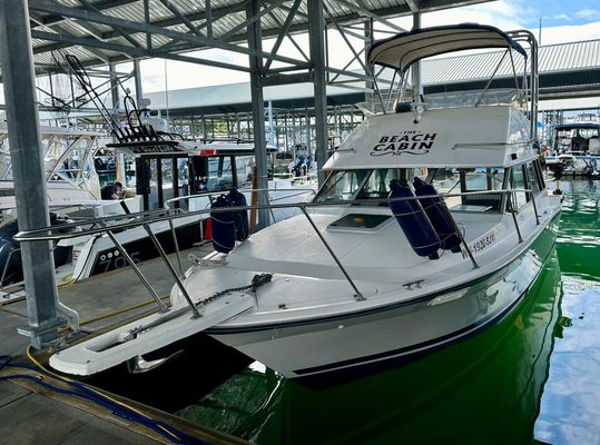 Bayliner 2850-CONTESSA - main image