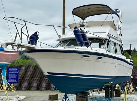 Bayliner 2850 Contessa image