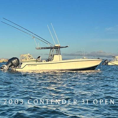 Contender 31 Open - main image