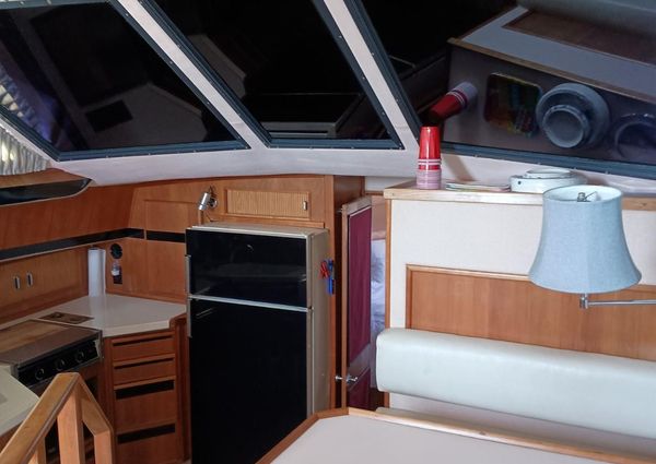 Sea-ray 440-AFT-CABIN image