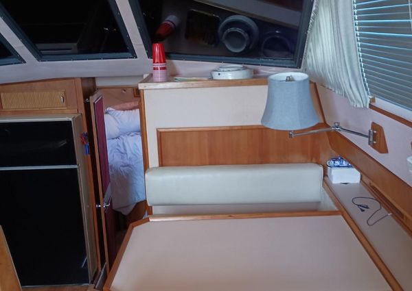 Sea-ray 440-AFT-CABIN image