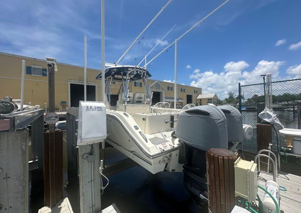 Cobia 296 image