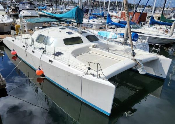 Ocean Cat 49 image