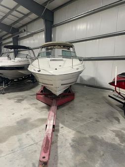 Sea-ray 260-OVERNIGHTER image