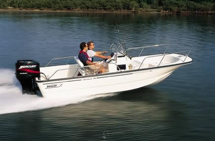 Boston-whaler 170-MONTAUK image